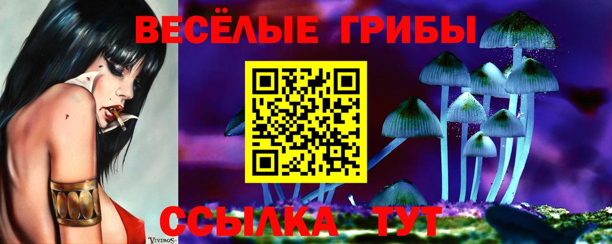 Псилоцибиновые грибы ЛСД Каменск-Шахтинский