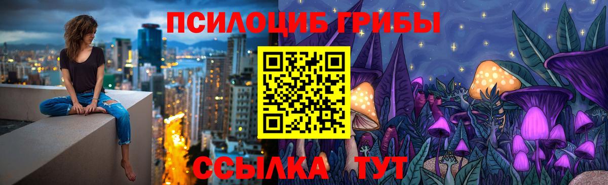 Псилоцибиновые грибы Magic Shrooms  Галлюциногенные грибы GOLDEN TEACHER  как найти закладки  Вход с VPN  Каменск-Шахтинский 